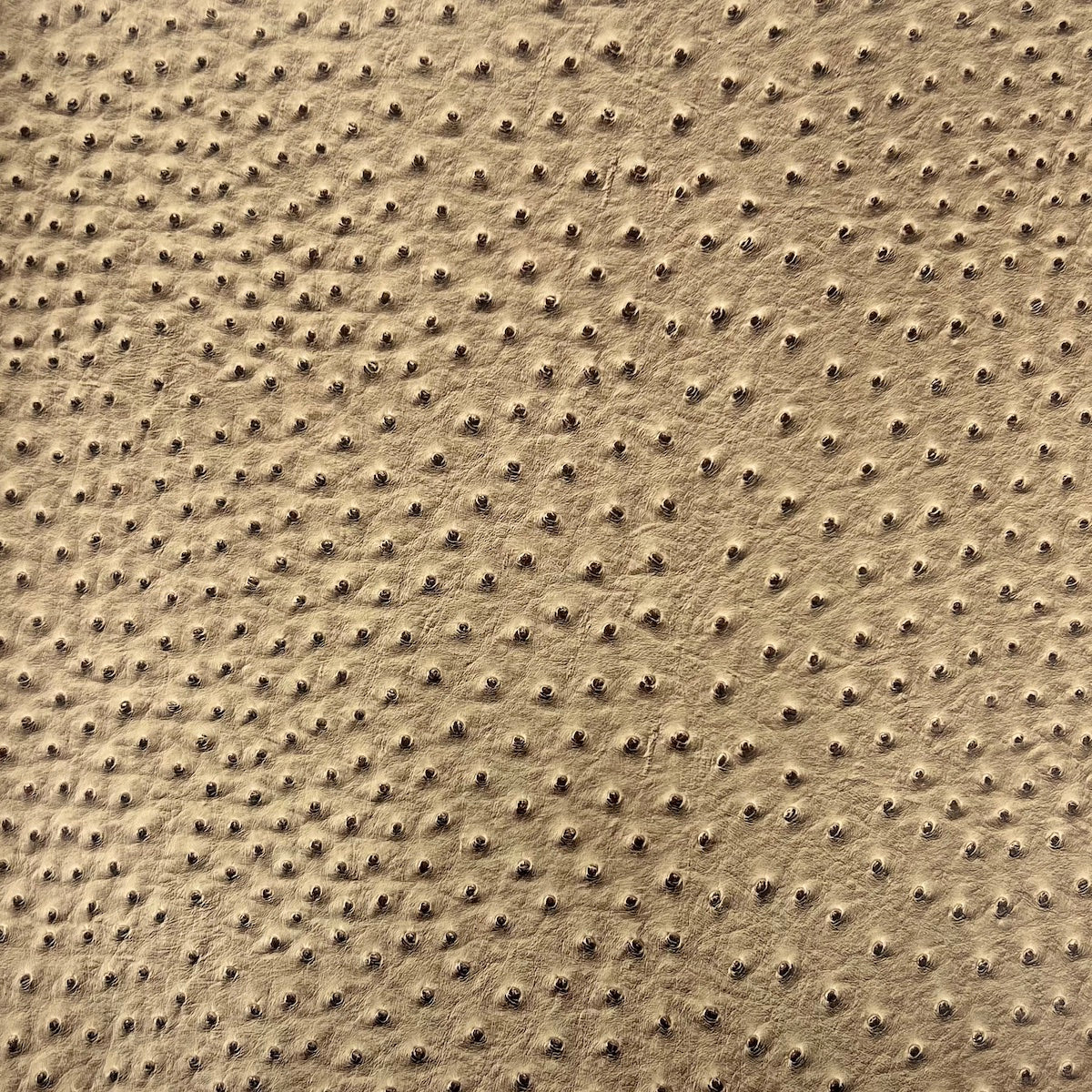 1 Yard Saratoga Ostrich Faux Leather Vinyl Fabric 100% PVC