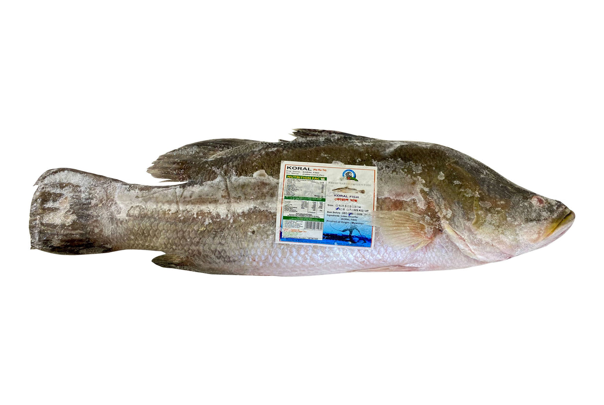 Koral IQF- 5 KG
