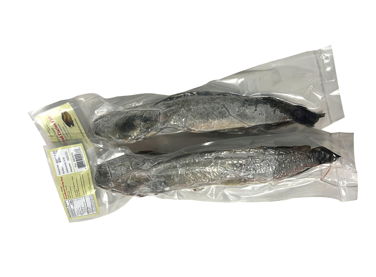 Magur 300/500g