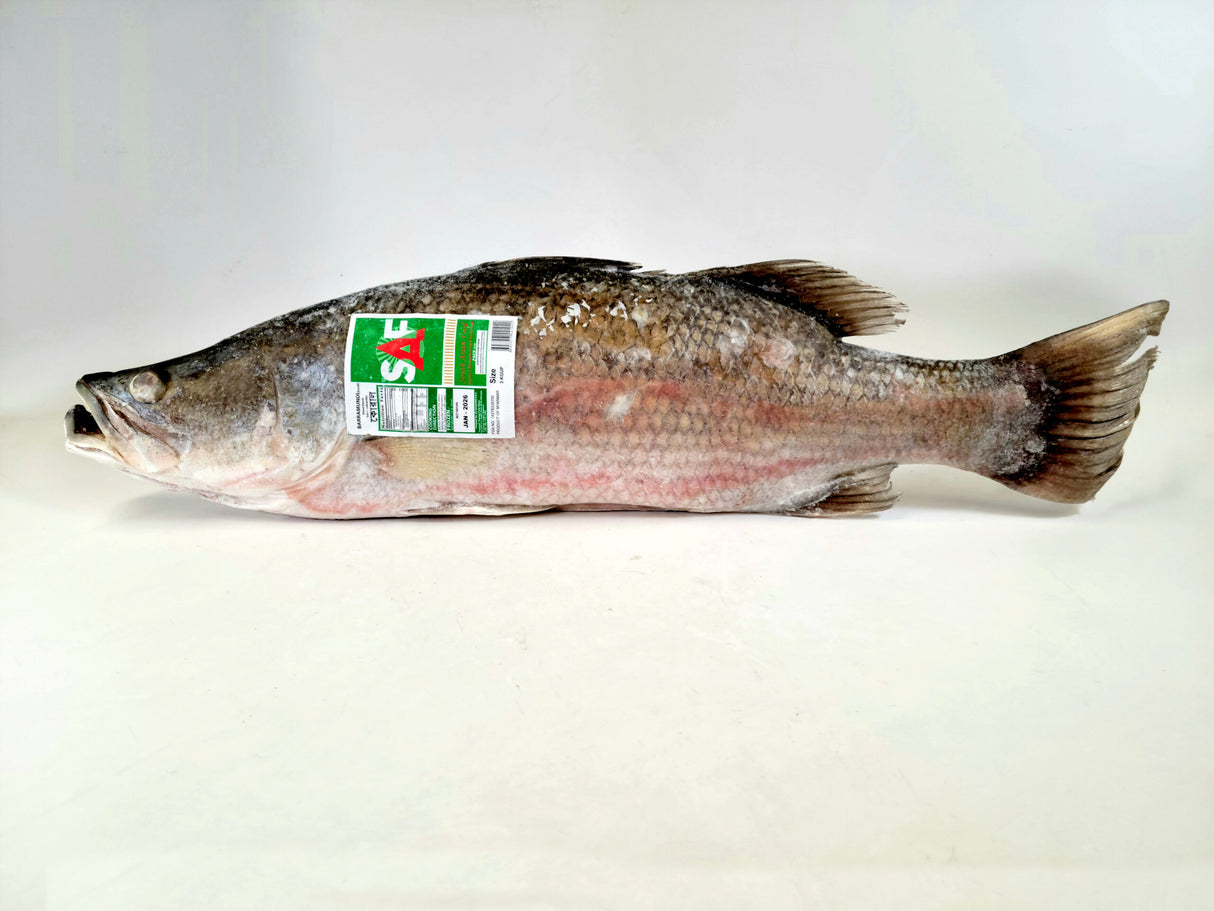 Koral- 3KG up