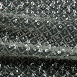 1 Yard Embroidered Tulle Lace Fabric with Sequins, 52" Wide