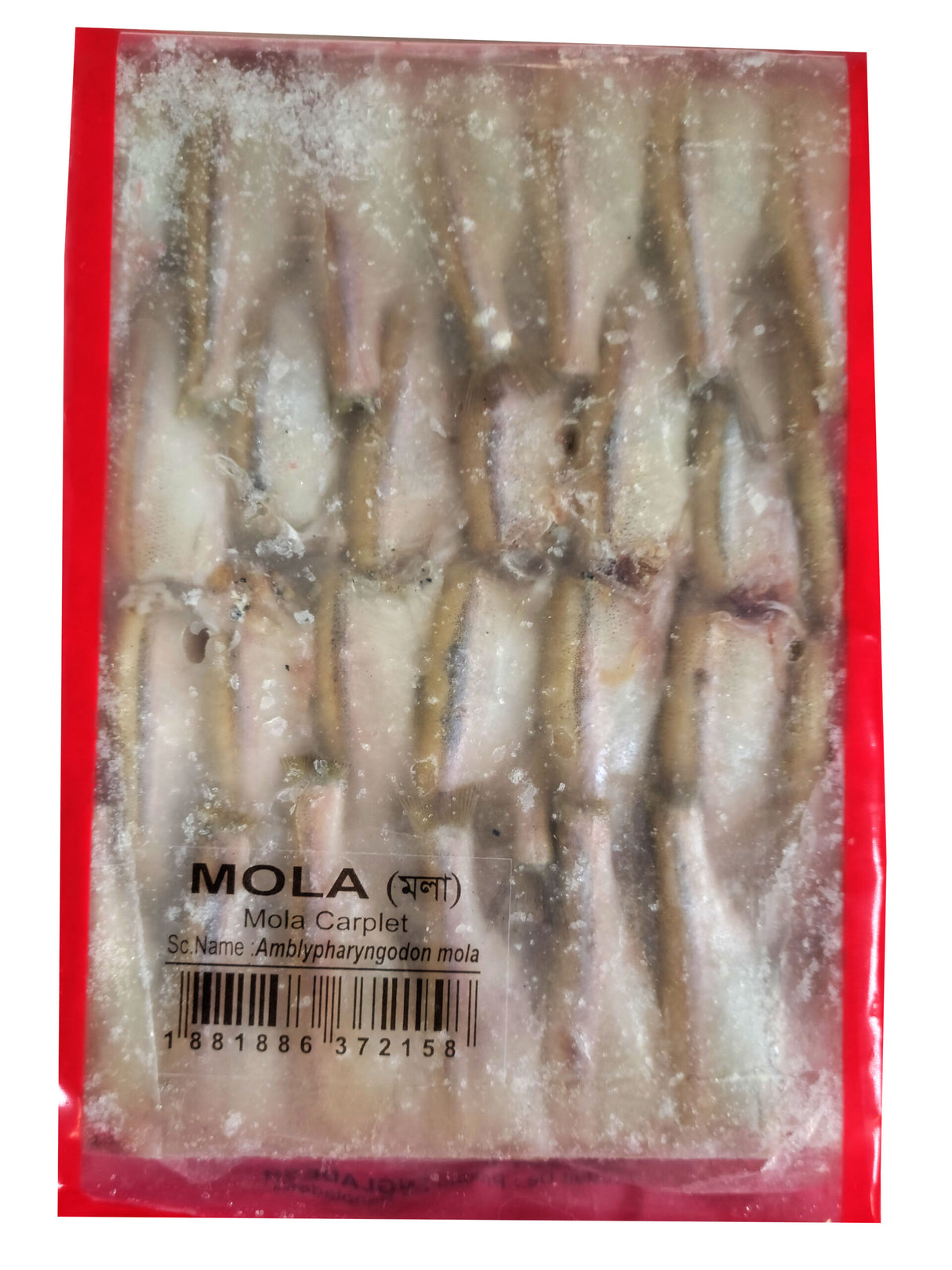 Mola
