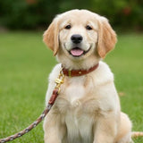 Zinc Alloy Swivel Claw Lobster Hook for Bags & Keys