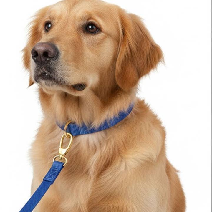 Metal Zinc Alloy Swivel Eye Snap Hook for Bags