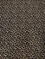 Leopard Print Brushed Single Spun Polyester Spandex Fabric - Leopard Print, 58"-60" Width