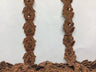 1 Yard Beaded & Corded Lace Trimming on Organza | 3/4" Wide | Decorative Couture Trim for Bridal, Quinceañera & Formalwear