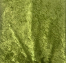 Panne Velvet Fabric by The Yard  Stretch Shiny Costume Dress