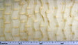 Pleated Raschel Lace Beige Polyester Fabric - Beige Pleated Lace, 54/55" Width