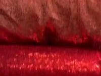 1 Yard Shimmering Sequin Fabric Stretch Mesh 54 Inch Width for Dresses & Decor