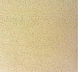 Tricot Solid 15D Multi Sparkle Yellow Nylon Fabric - Yellow Sparkle, 58/60" Width