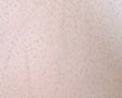 Tricot W/Dot Glitter Pink Nylon Fabric - Pink Glitter Dot, 58/60" Width (1 Yard)